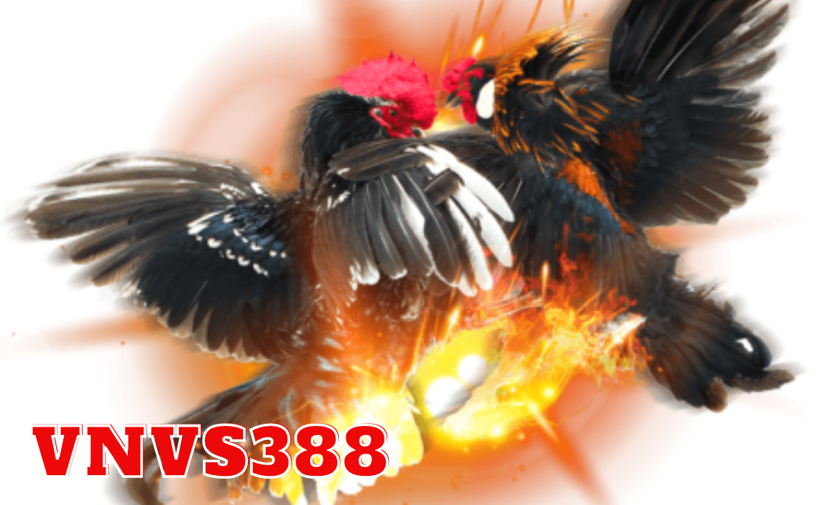 VNVS388.sv388.top đặt mục tiêu hàng đầu là tạo dựng niềm tin tuyệt đối trong lòng người chơi